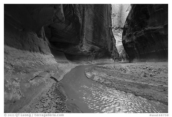 Paria River flowing between canyon walls. Paria Canyon Vermilion Cliffs Wilderness, Arizona, USA (black and white)