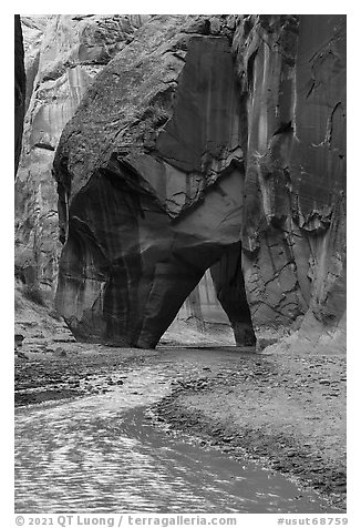 Paria River and Sliderock Arch. Paria Canyon Vermilion Cliffs Wilderness, Arizona, USA (black and white)