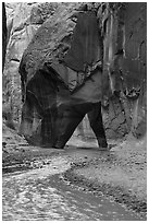 Paria River and Sliderock Arch. Paria Canyon Vermilion Cliffs Wilderness, Arizona, USA ( black and white)