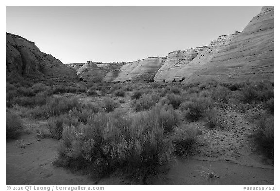 Petrified sand dunes bordering Paria Canyon at dusk. Grand Staircase Escalante National Monument, Utah, USA (black and white)
