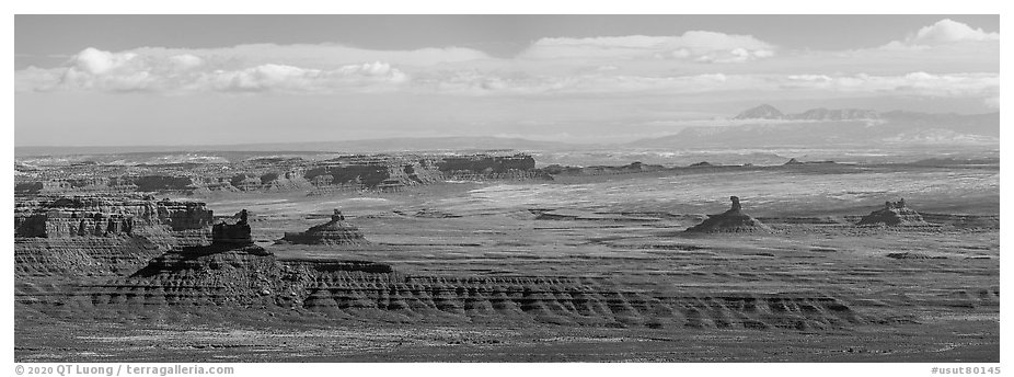 Distant view of Valley of the Gods. Bears Ears National Monument, Utah, USA (black and white)