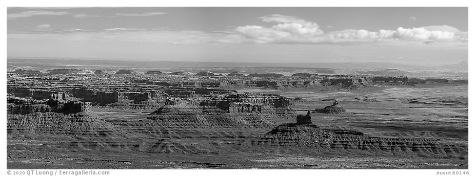 Valley of the Gods from above. Bears Ears National Monument, Utah, USA (black and white)