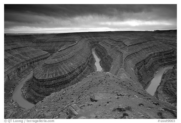 Goosenecks of the San Juan River, Goosenecks of the San Juan State Park. Utah, USA (black and white)