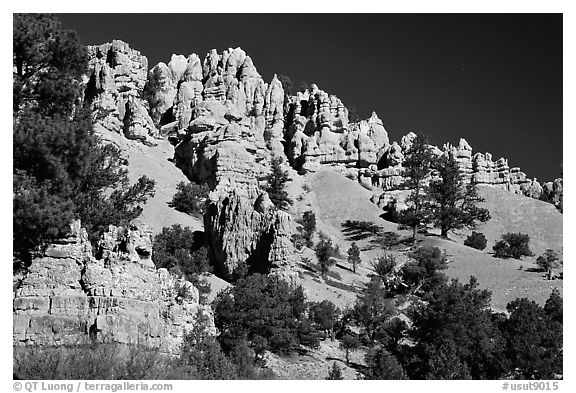 Hoodoos, Red Canyon, Dixie National Forest. Utah, USA