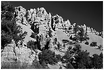 Hoodoos, Red Canyon, Dixie National Forest. Utah, USA ( black and white)