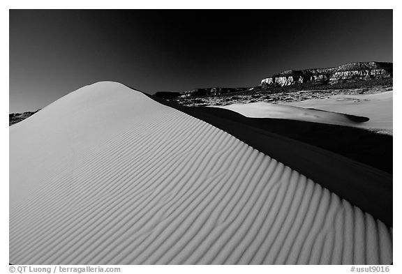 Sand dune at sunset, Coral Pink Sand Dunes State Park. Utah, USA (black and white)