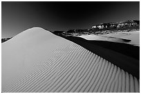 Sand dune at sunset, Coral Pink Sand Dunes State Park. Utah, USA (black and white)