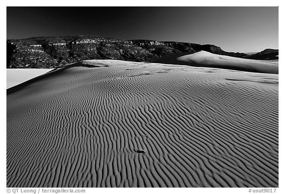 Rippled sand dune, late afternoon, Coral Pink Sand Dunes State Park. Utah, USA