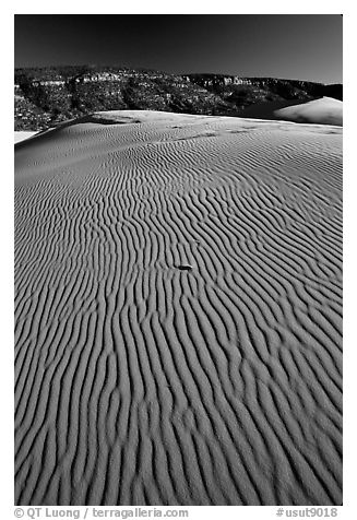 Ripples on sand dunes, late afternoon, Coral Pink Sand Dunes State Park. Utah, USA