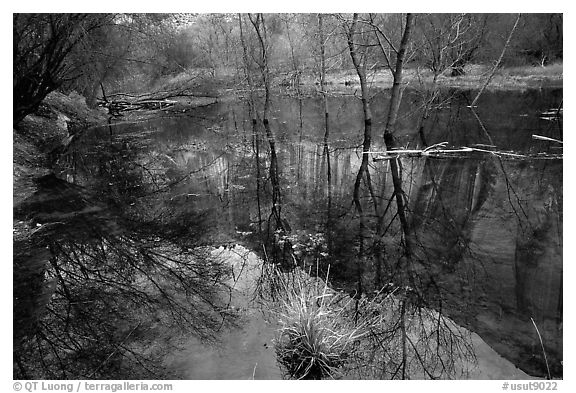 Canyon and reflections, Calf Creek. Grand Staircase Escalante National Monument, Utah, USA (black and white)