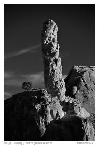 Sand Pipes (rock column), sunset, Kodachrome Basin State Park. Utah, USA (black and white)
