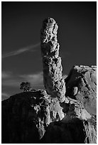 Sand Pipes (rock column), sunset, Kodachrome Basin State Park. Utah, USA (black and white)