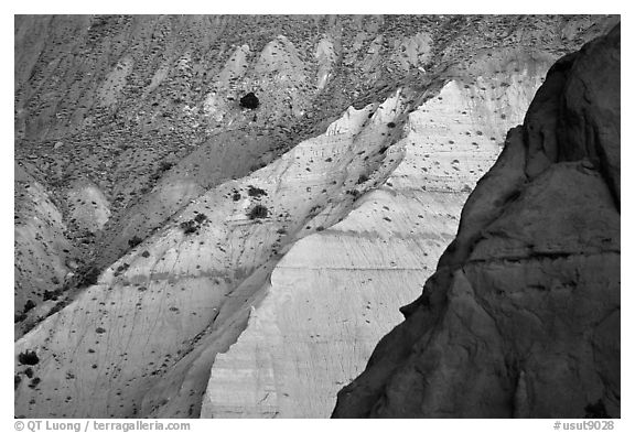 Multicolored cliffs of Entrada sandstone, Kodachrome Basin State Park. Utah, USA (black and white)