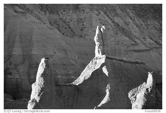 Large Entrada sandstone monoliths, Kodachrome Basin State Park. Utah, USA (black and white)