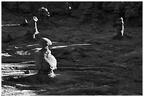 Goblins, early morning, Goblin Valley State Park. Utah, USA ( black and white)