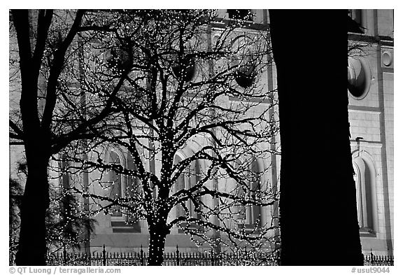 Christmas and Great Mormon Temple, Salt Lake City. Utah, USA (black and white)