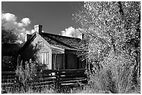 Old house, Grafton. Utah, USA (black and white)