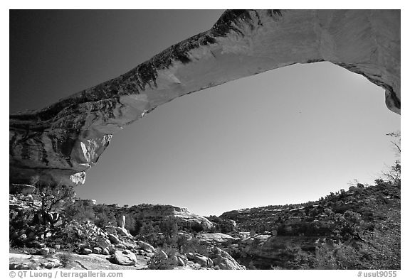 Owachomo Bridge, Natural Bridges National Monument. Utah, USA (black and white)