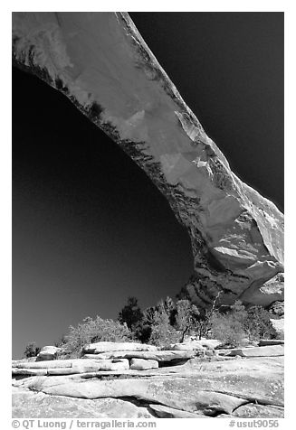 Owachomo Bridge, Natural Bridges National Monument. Utah, USA (black and white)