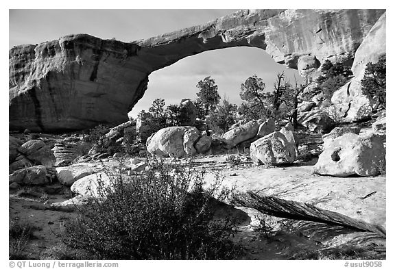 Owachomo Bridge, Natural Bridges National Monument. Utah, USA