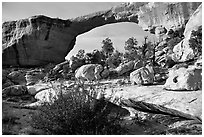 Owachomo Bridge, Natural Bridges National Monument. Utah, USA (black and white)