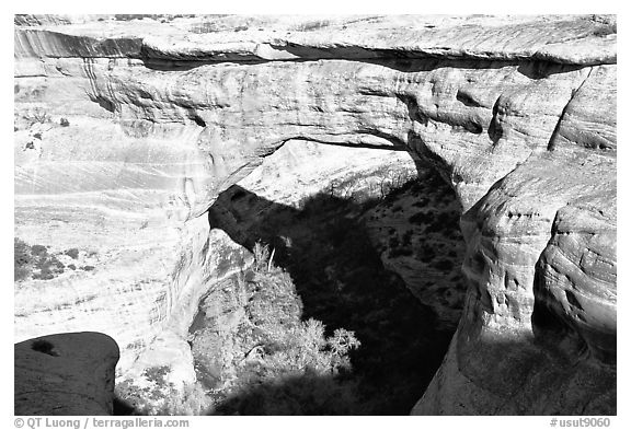 Sipapu Bridge, Natural Bridges National Monument. Utah, USA