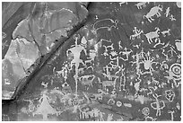 Petroglyphs on Newspaper rock. Bears Ears National Monument, Utah, USA ( black and white)