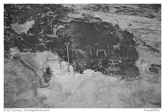 Petroglyphs. Bears Ears National Monument, Utah, USA (black and white)