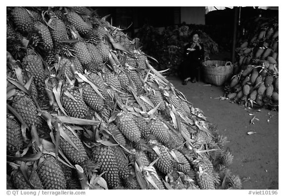 Loads of pinaaples. Cholon, Ho Chi Minh City, Vietnam (black and white)