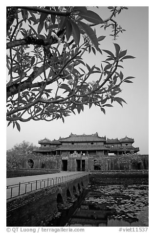 Plumeria trees, Ngo Mon Gate (Moon Gate), Hue citadel. Hue, Vietnam (black and white)