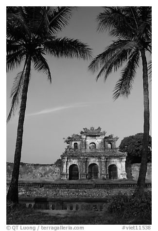 Palm trees and gate, Hue citadel. Hue, Vietnam