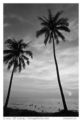 Palm trees and people in water at sunset. Phu Quoc Island, Vietnam