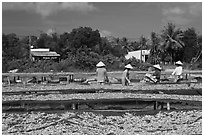 Dried fish production. Phu Quoc Island, Vietnam (black and white)