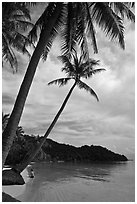 Bai Sau beach and woman. Phu Quoc Island, Vietnam (black and white)