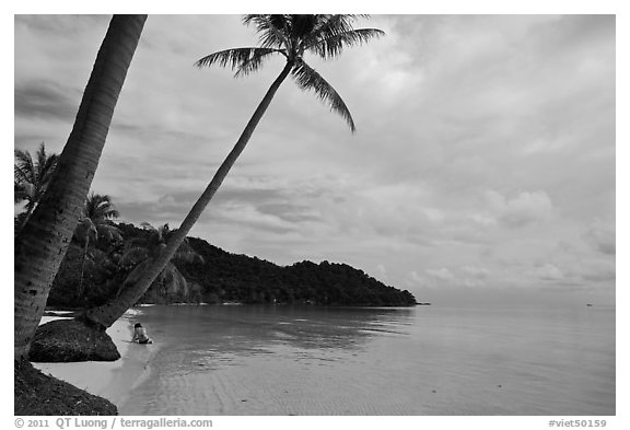 Palm-fringed beach, Bai Sau. Phu Quoc Island, Vietnam