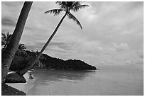 Palm-fringed beach, Bai Sau. Phu Quoc Island, Vietnam ( black and white)