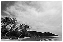 Bai Sau Palm-fringed beach. Phu Quoc Island, Vietnam (black and white)