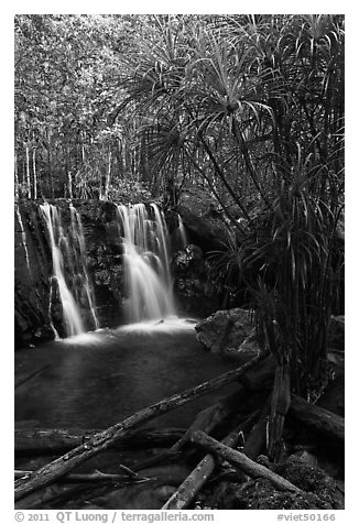 Suoi Tranh tropical waterfall. Phu Quoc Island, Vietnam (black and white)