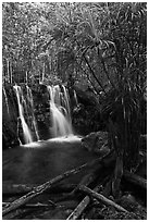 Suoi Tranh tropical waterfall. Phu Quoc Island, Vietnam (black and white)