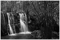 Waterfall flowing in tropical forest. Phu Quoc Island, Vietnam ( black and white)