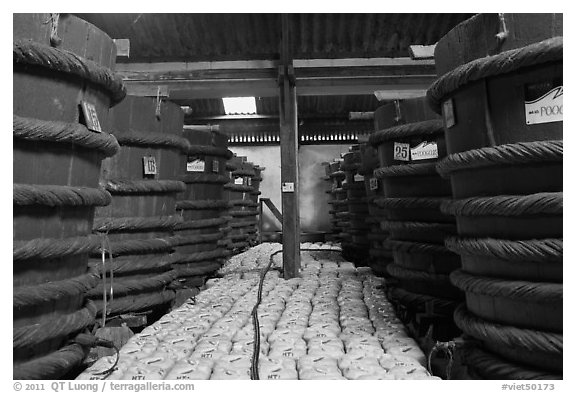 Fish Sauce factory, Duong Dong. Phu Quoc Island, Vietnam (black and white)