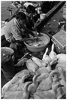 Men preparing ducks, Duong Dong. Phu Quoc Island, Vietnam (black and white)