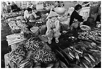 Women fishmongers, Duong Dong. Phu Quoc Island, Vietnam (black and white)