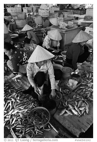 Women selling fish at market, Duong Dong. Phu Quoc Island, Vietnam (black and white)