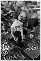 Women selling fish at market, Duong Dong. Phu Quoc Island, Vietnam ( black and white)