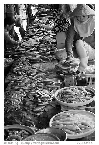 Fish for sale at public market, Duong Dong. Phu Quoc Island, Vietnam