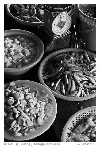 Close up of baskets of seafood and scale, Duong Dong. Phu Quoc Island, Vietnam (black and white)