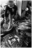 Woman cleans up fish for sale, Duong Dong. Phu Quoc Island, Vietnam (black and white)