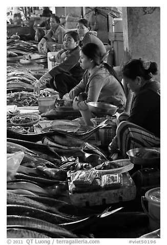 Fishmongers, Duong Dong. Phu Quoc Island, Vietnam (black and white)