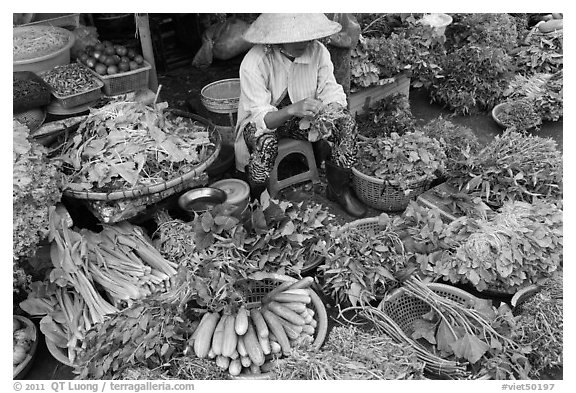 Woman selling vegetables at public market, Duong Dong. Phu Quoc Island, Vietnam (black and white)